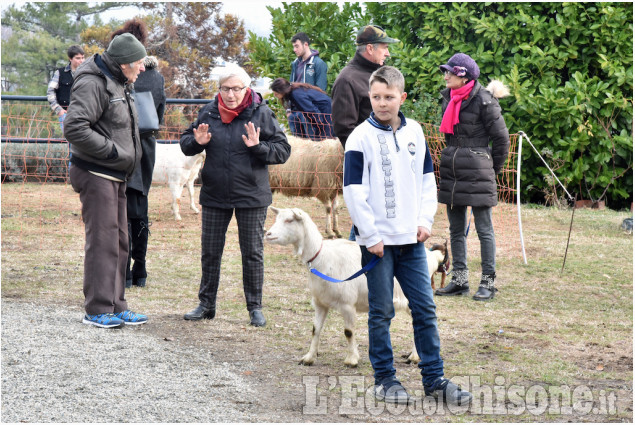 Pinerolo: Al Colletto la festa di San Antonio Abate