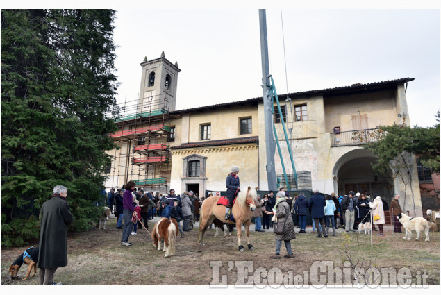 Pinerolo: Al Colletto la festa di San Antonio Abate