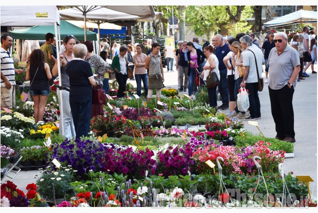 A Cumiana fiori e colori in piazza