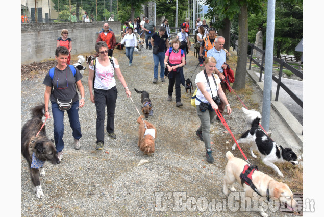 È accaduto (zampettando) domenica a Prarostino 
