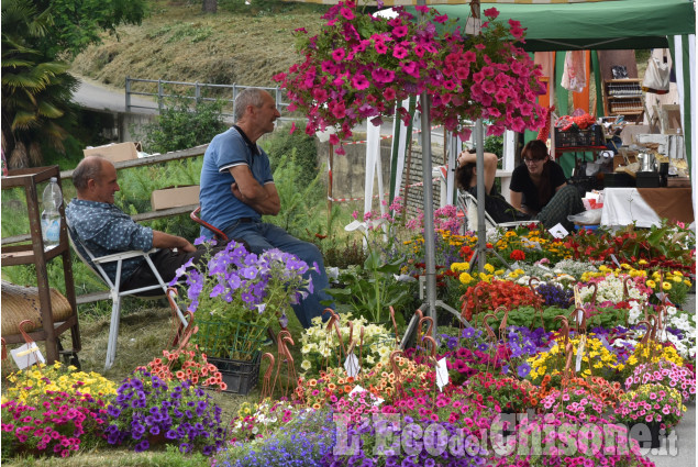 Costagrande, Festa di primavera