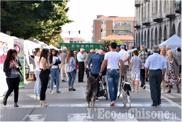 Pinerolo, notte bianca e vetrine in centro