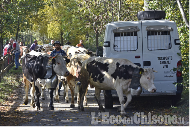 Villar Pellice: Fiera d&#039;autunno