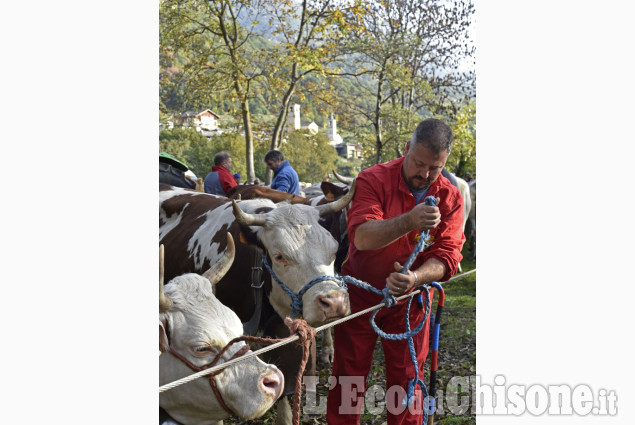 Villar Pellice: Fiera d&#039;autunno