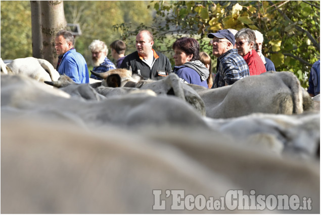 Villar Pellice: Fiera d&#039;autunno