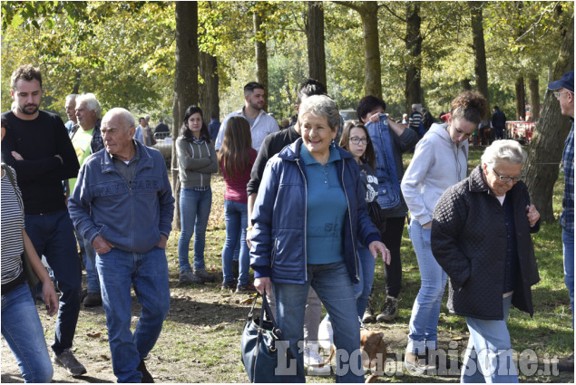 Villar Pellice: Fiera d&#039;autunno