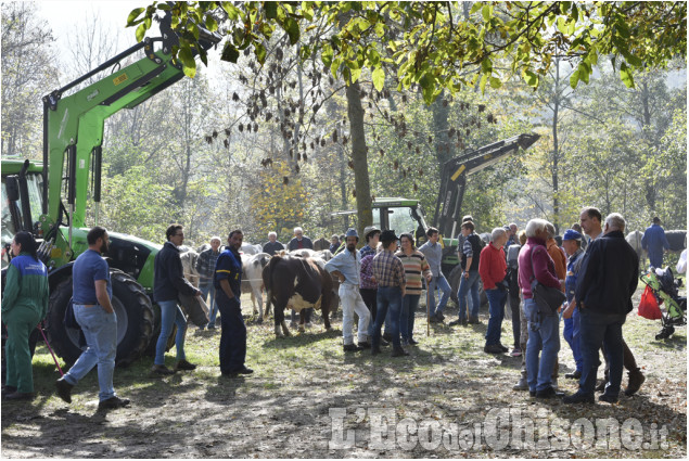 Villar Pellice: Fiera d&#039;autunno