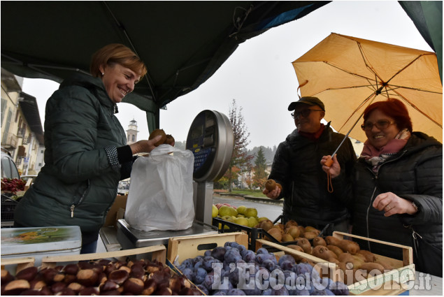 Bibiana: Sagra del kiwi