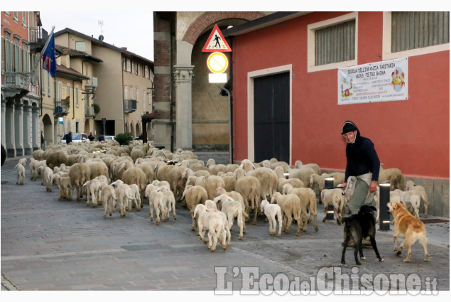 Piobesi: la fiera autunnale, con la caratteristica transumanza per le vie del paese