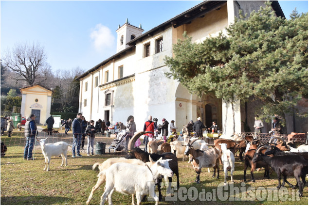 Alla Chiesa del Colletto di Pinerolo, San Antonio Abate