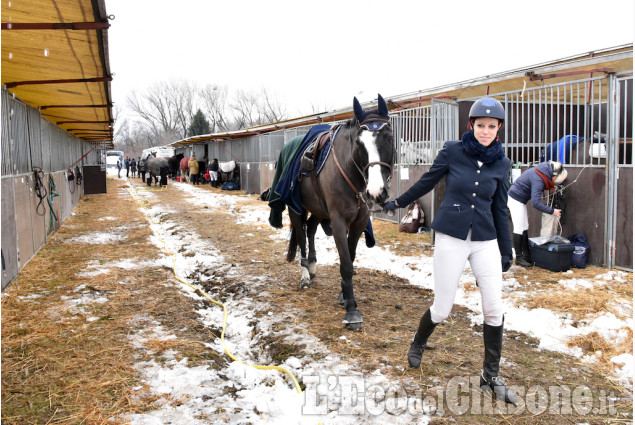 Pinerolo, concorso ippico nel grande maneggio