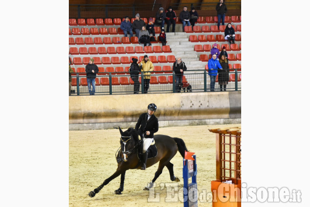 Pinerolo, concorso ippico nel grande maneggio