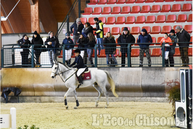 Pinerolo, concorso ippico nel grande maneggio