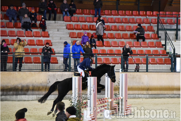 Pinerolo, concorso ippico nel grande maneggio