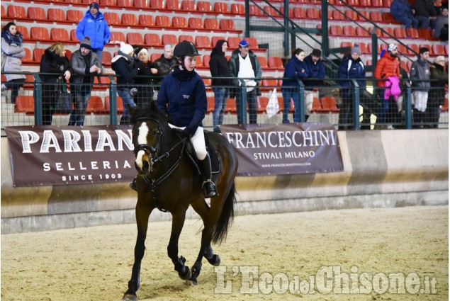 Pinerolo, concorso ippico nel grande maneggio