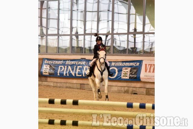 Pinerolo, concorso ippico nel grande maneggio