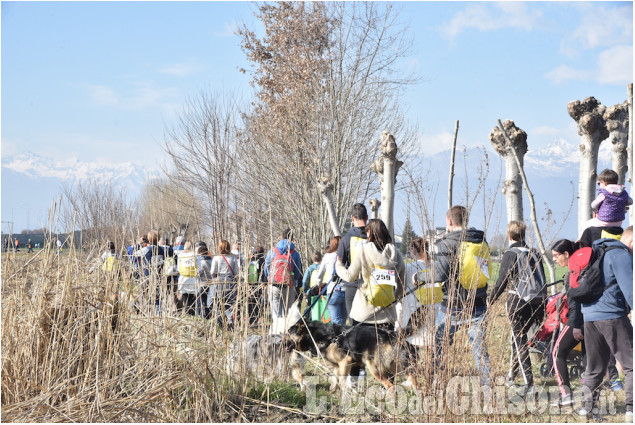 Pinerolo, in più di 600 alla Lions Walk