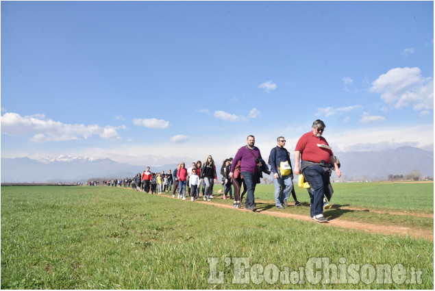 Pinerolo, in più di 600 alla Lions Walk