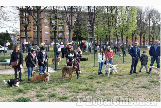 Pinerolo: Nuova area sgambamento cani