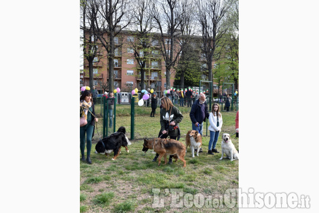 Pinerolo: Nuova area sgambamento cani
