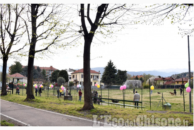 Pinerolo: Nuova area sgambamento cani