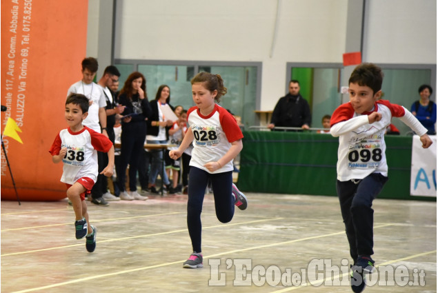 Abbadiadi ,Piccoli atleti al palazetto dello sport
