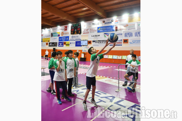 Abbadiadi ,Piccoli atleti al palazetto dello sport