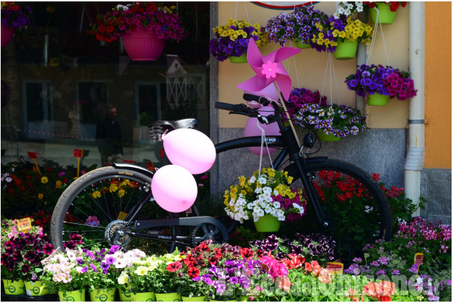 Aspettando il Giro d&#039;Italia a Pinerolo e Montoso
