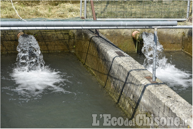 Giornate d&#039;Acqua a Porte