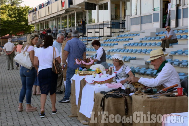 Vinovo: week-end di S. Giovanni, festa all&#039;ippodromo 