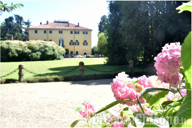 Le ortensie di Villa Doria