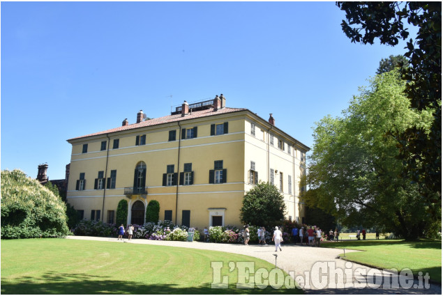 Le ortensie di Villa Doria