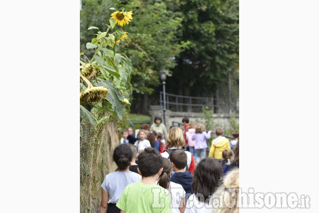 Friday for Future in Val Chisone: scuole attive per l&#039;ambiente