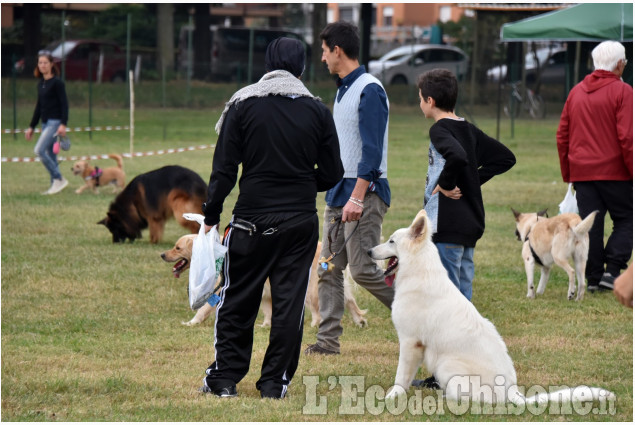 Pinerolo: Dog Animal party 