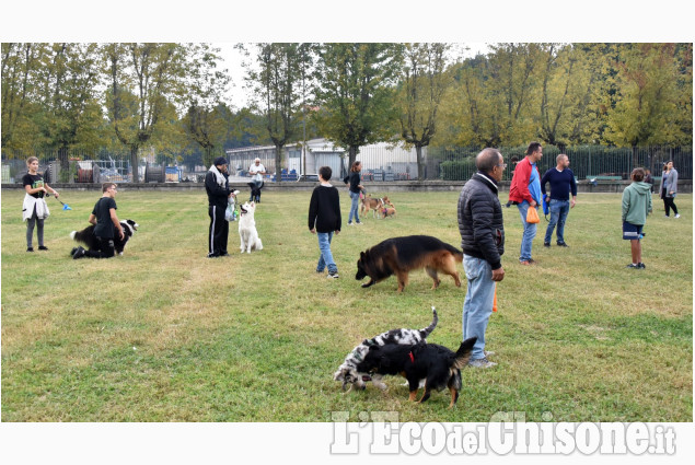 Pinerolo: Dog Animal party 