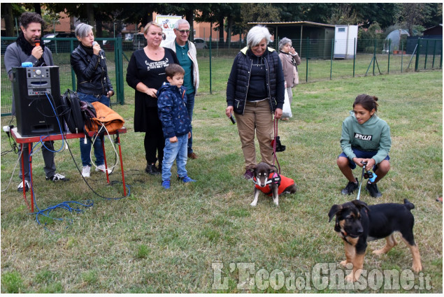 Pinerolo: Dog Animal party 