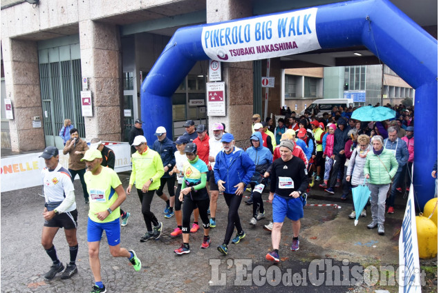 Pinerolo: oltre 500 iscritti alla Big Walk Tsubaki Nakashima