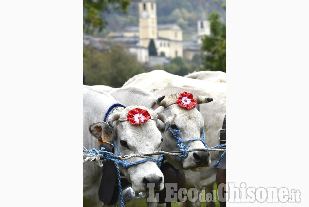 Val Pellice, valle di fiere