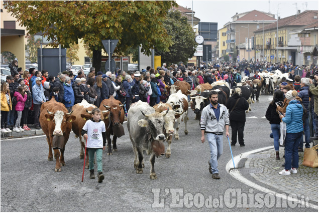 Una fiera coi baffi