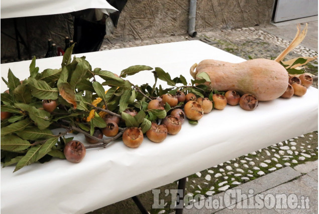 Virle: presentazione degli Antichi Statuti e fiera delle nespole e della zucca