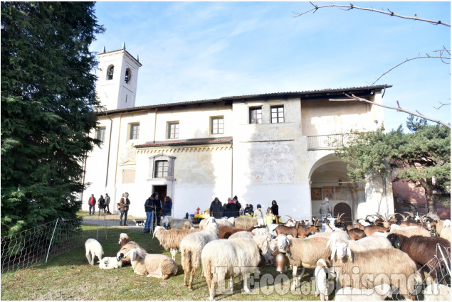 Pinerolo: Al Colletto la festa di Sant' Antonio