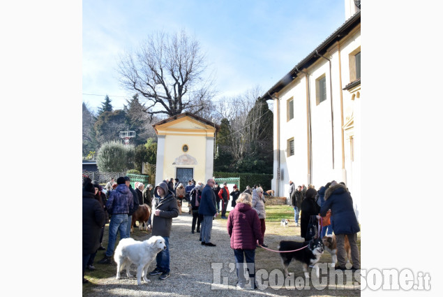 Pinerolo: Al Colletto la festa di Sant' Antonio