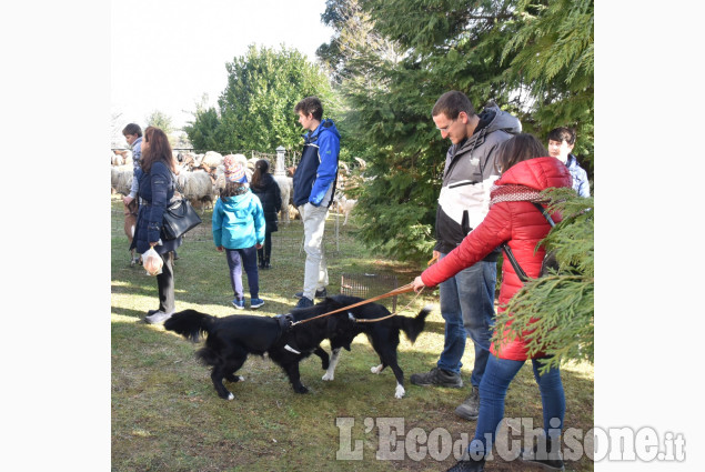 Pinerolo: Al Colletto la festa di Sant' Antonio