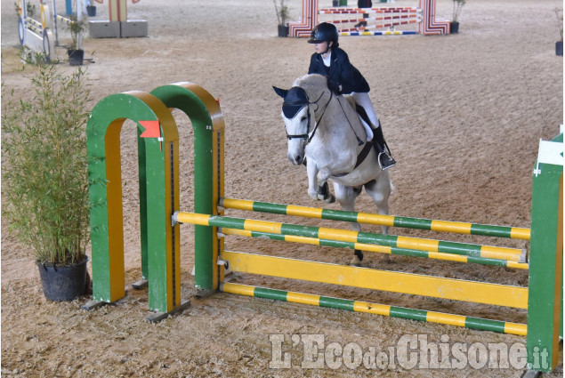 Pinerolo, cavalli a porte chiuse: pony in gara