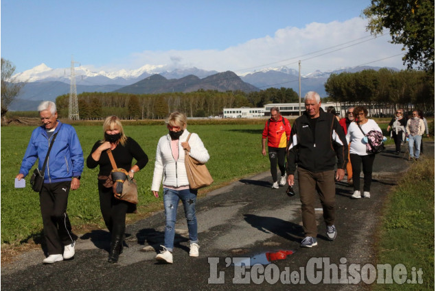 None: passeggiata enogastronomica in campagna