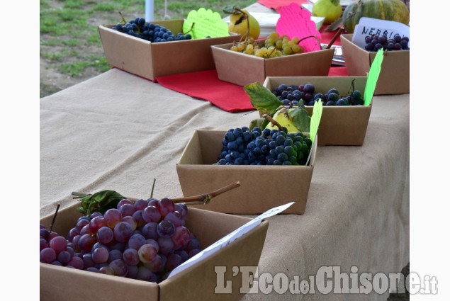 Prarostino: Festa dell'uva