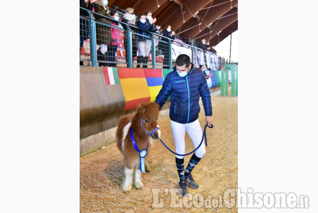 Pinerolo: Abbadia Concorso ippico, Gran Premio 