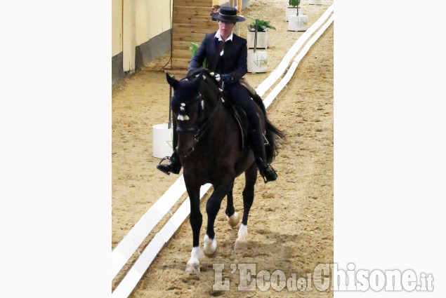 None: finale del campionato Europeo di dressage iberico all’Horsebridge, vince il Belgio