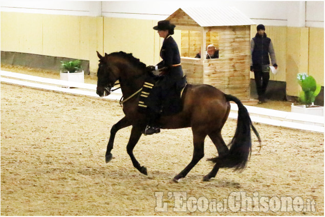 None: finale del campionato Europeo di dressage iberico all’Horsebridge, vince il Belgio