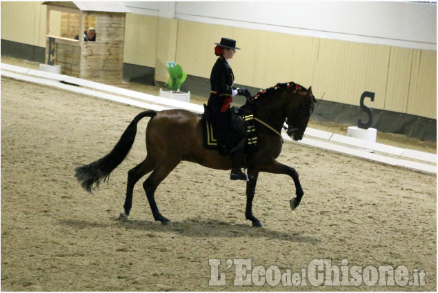None: finale del campionato Europeo di dressage iberico all’Horsebridge, vince il Belgio